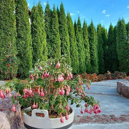 Milicevic Apartment Zlatibor