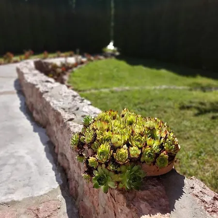 Milicevic Appartement